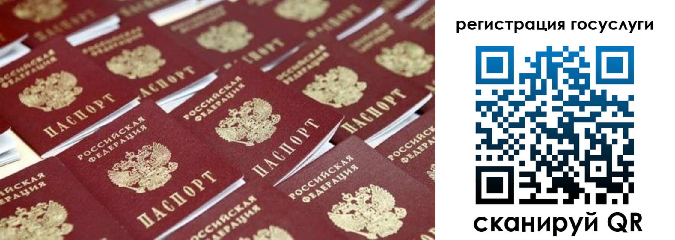 прописка ребенка в Углегорске